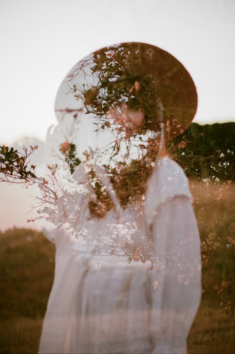 Forest Bathing